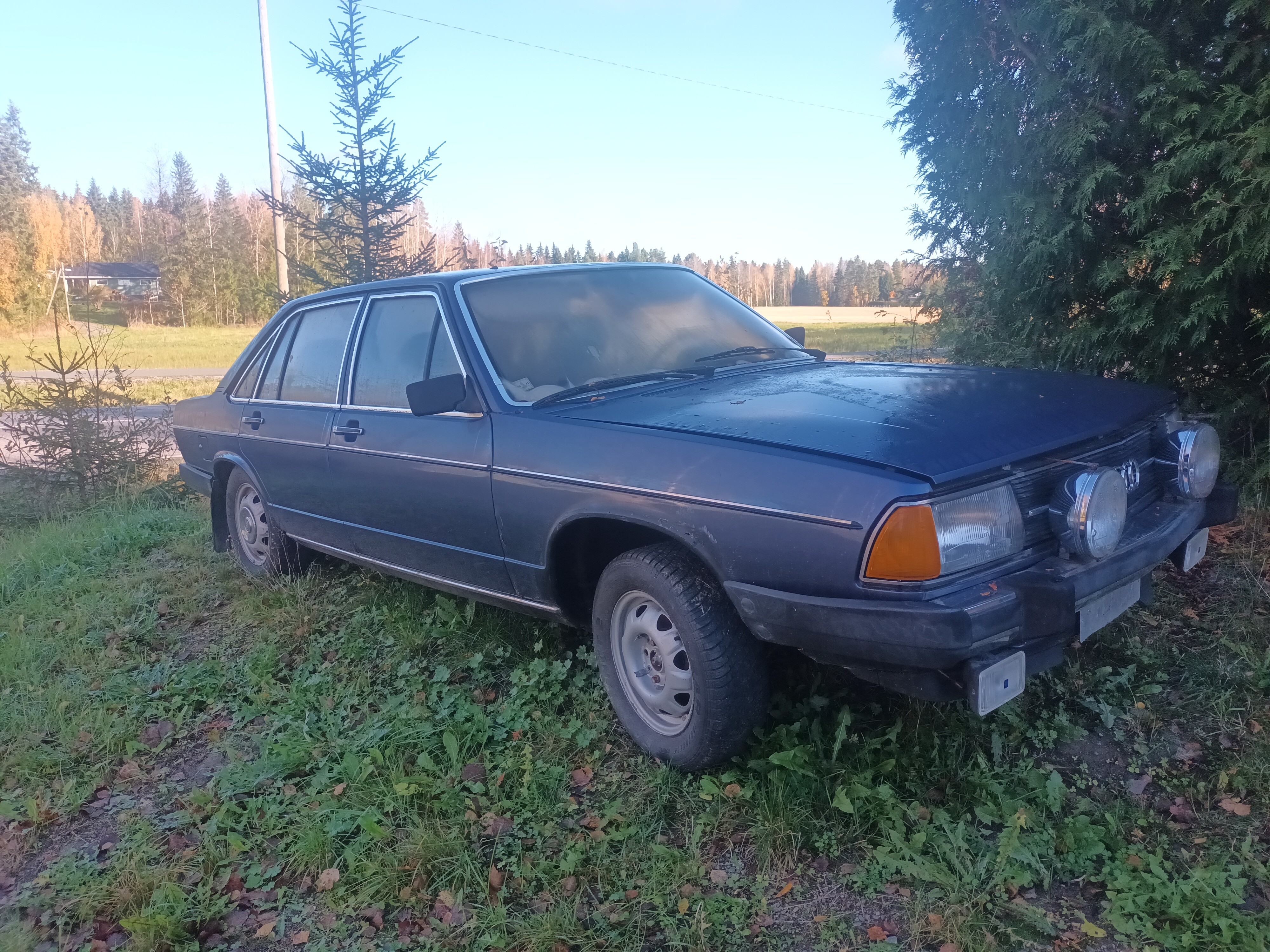 Audi 100 GL 5D (1979)