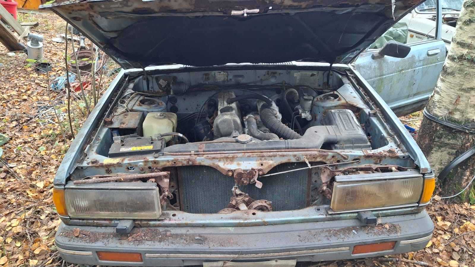 Nissan Datsun Bluebird WEJ910 (1984)